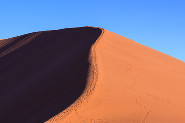 Fototapeta na wymiar Dune 45 at sunset in the Namib Desert, Namibia