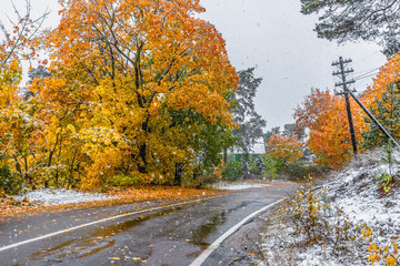 The first snow in Karelia in 2019.