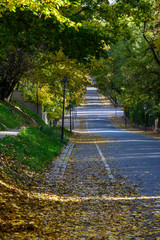 Empty street in Lazienki Krolewskie park in Warsaw