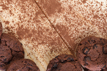 Tasty cookies with chocolate chips placed on a wooden background . Selective focus shot.