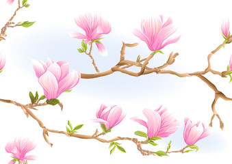 Magnolia tree branch with flowers. Seamless pattern, background. Colored vector illustration. Isolated on white background..