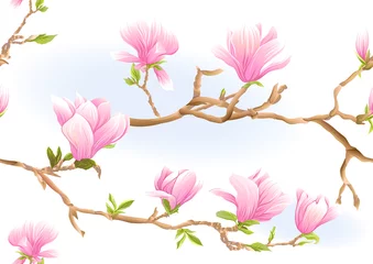 Fototapete Magnolie Magnolienbaumzweig mit Blumen. Nahtloses Muster, Hintergrund. Farbige Vektorillustration. Isoliert auf weißem Hintergrund..