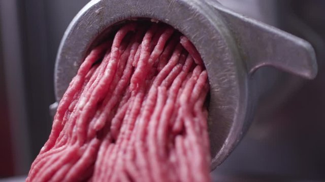 Processing lard or meat in minced meat on a huge meat grinder at a meat factory closeup.