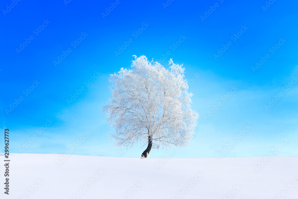 Wall mural Tree in the snow on a field winter