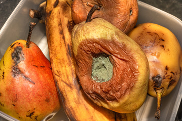  Close-up of rotten and moldy fruits. Rotten bananas, apple and pear in a plastic container on a dark background. Expired food, concept.