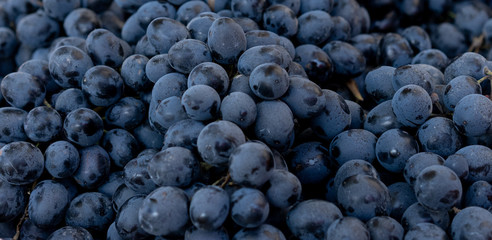 Grapes as background and texture