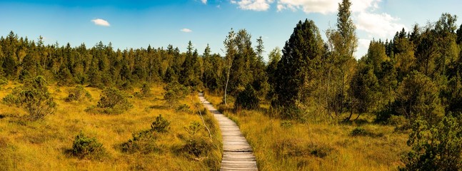 Der Bohlenweg im Murnauer Moos