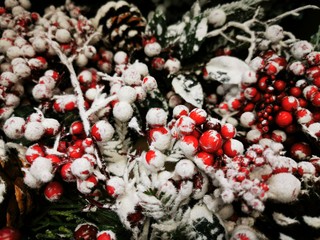 Christmas background with snow-covered cones and branches, red Holly berries. White-red christmas...