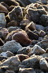 frosted stones in the early morning sunshine