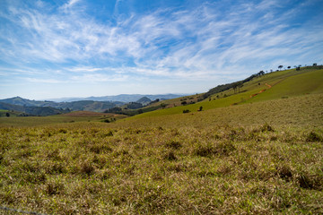 Fototapeta premium landscape with green field and blue sky