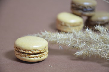 Colourful tasty macaroons in a row. macaroons of different colors on a brown background