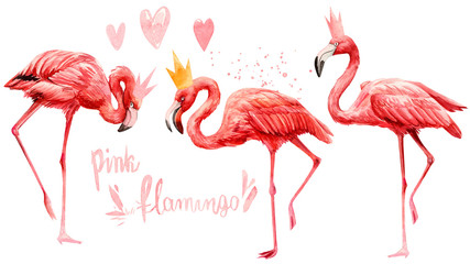 cute pink flamingo bird wearing a crown on an isolated white background, watercolor illustration, painting