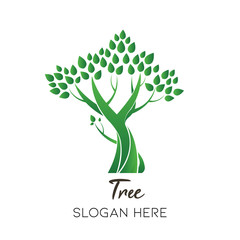 Obraz premium abre logo nature