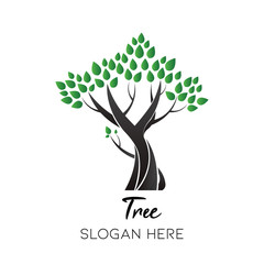 Obraz premium abre noir logo nature