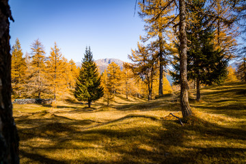 Herbst 2019