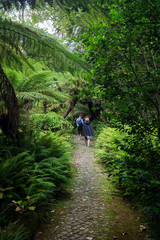 Few tourists on a footpath in a lush and verdant forest at the Pena Park surrounding the Pena Palace (Palacio Nacional da Pena) in Sintra, Portugal.