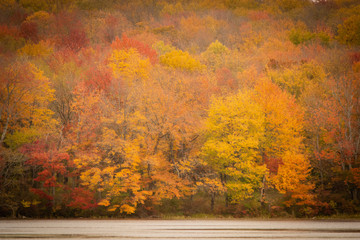 Fall Foliage at a distance