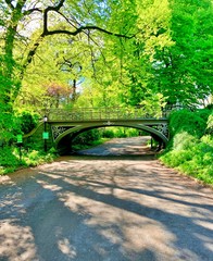 BRIDGE New York Central Park MOVIES 