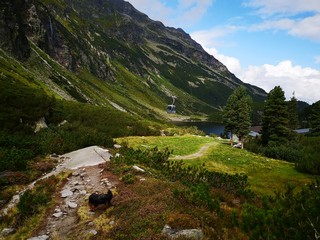 road in the mountains