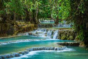 Turquoise water of Kuang Si waterfall, Luang Prabang, Laos. Tropical rainforest. The beauty of nature.