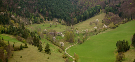 Myrafälle - Muggendorf - Austria