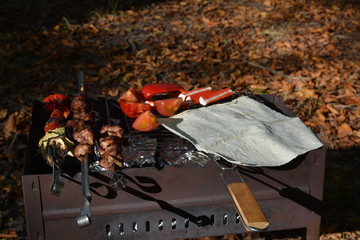Vegetables, meat and pita fried on the grill in the forest