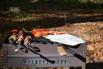  Grill with vegetables, meat and pita bread fried on coals in the open air