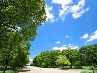 東京都　舎人公園