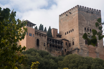 Fototapeta na wymiar Alhambra hill with the towers and vegetation