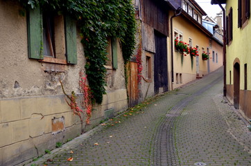 Fototapeta na wymiar Schale Gasse in Burkheim am Kaiserstuhl