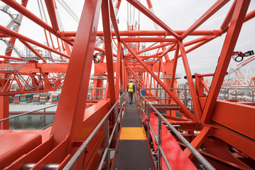 Shipping Cranes in A US Port