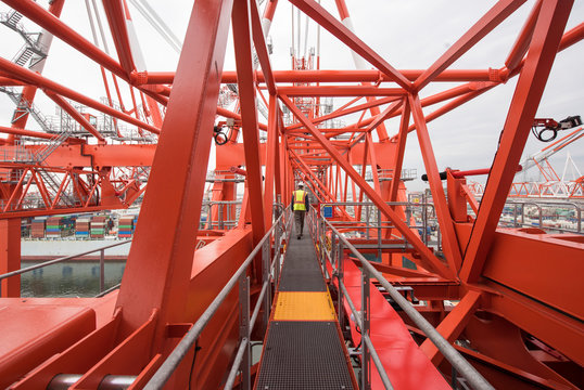 Shipping Cranes in A US Port - Powered by Adobe