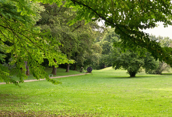 Path at the Boundary of a Wood in a Park