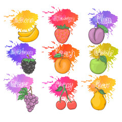 Fruit and berry set illustration isolated on a white background.
