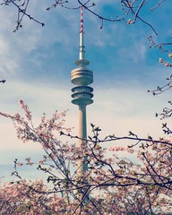 Olympiaturm Frühling