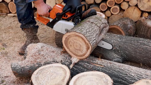 Wood cutting a chainsaw. Lumberjack cuts firewood with a saw