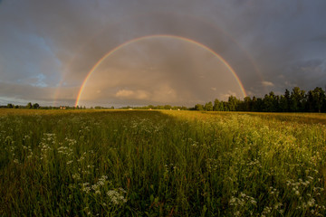 rainbow over field