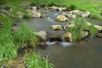 Naklejka na ściany i meble A small stream flows quietly in the streambed, surrounded by green grass and stones on the shore