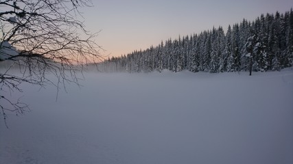 morning on the lake