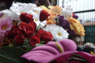 Old woman selling natural and artificial flowers for the Day of the Dead (Dia de los muertos) in Managua, Nicaragua, Central America