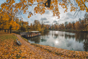 Fototapeta na wymiar park in the autumn 