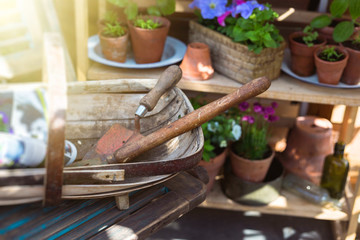 Rustic vintage gardening tools in a garden shed
