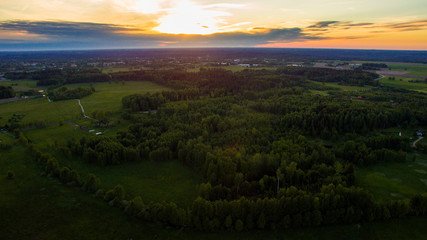 Fototapeta premium sunset and forest 