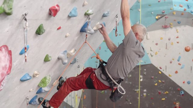 Wide shot of elderly bearded sportsman with grey hair wearing safety belay having training in climbing gym
