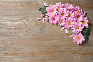 Fototapeta na wymiar Beautiful pink chamomile flowers on wooden background, flat lay. Space for text