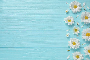 Beautiful chamomile flowers on light blue wooden background, flat lay. Space for text - obrazy, fototapety, plakaty