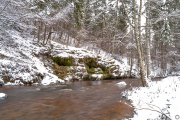 Obraz premium river in forest