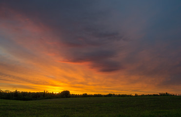 sunset over field