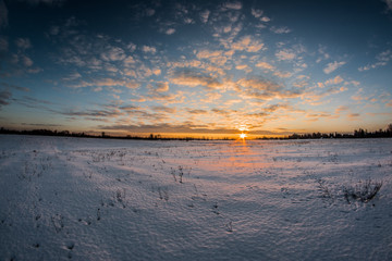 sunset winter