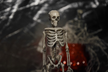 white paper skeleton figurine for halloween